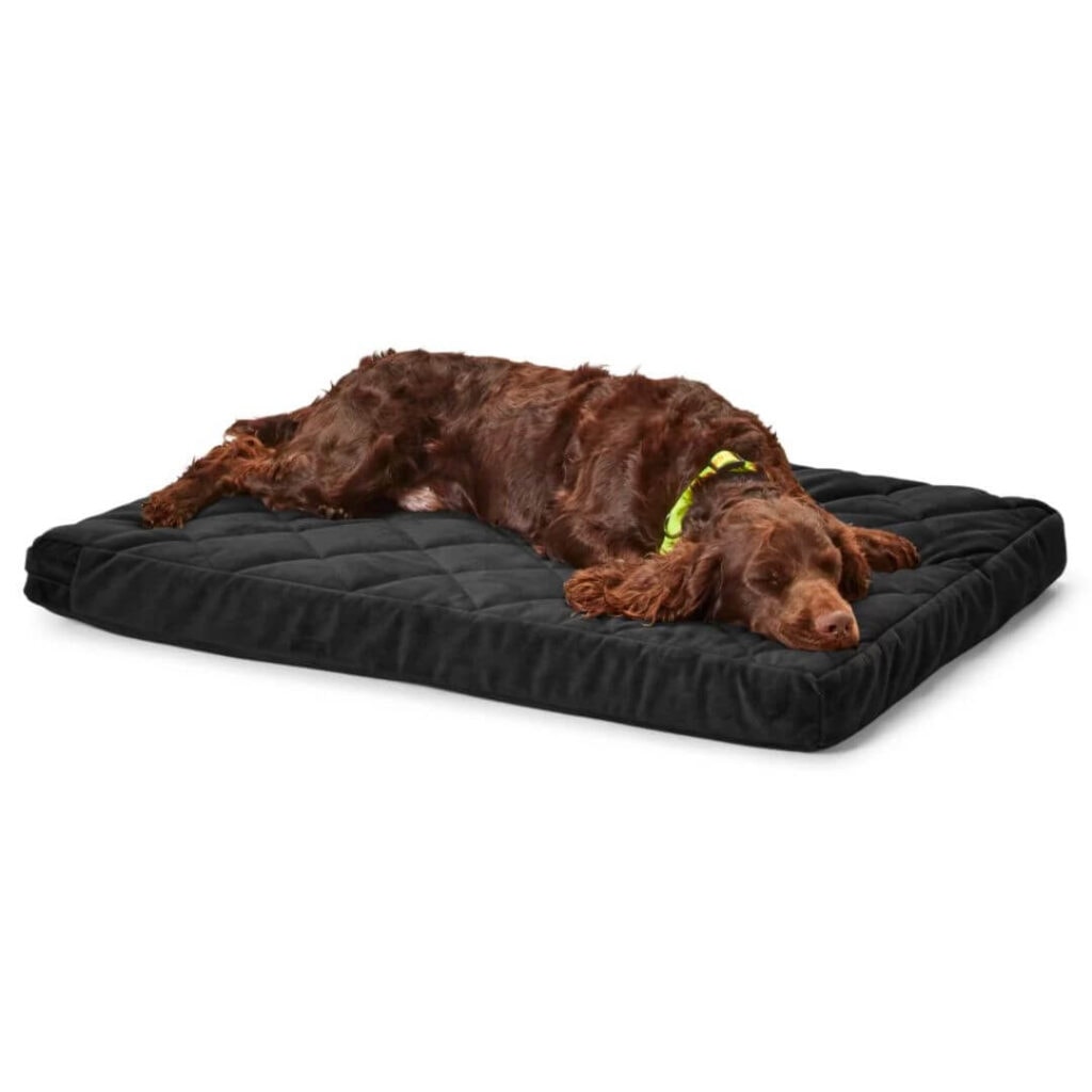Orvis Memory Foam Platform Dog Bed